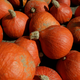 Image via Getty